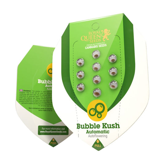 Royal Queen Seeds Bubble Kush Automatic