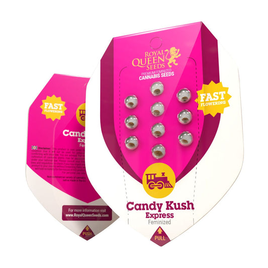 Royal Queen Seeds Candy Kush Express